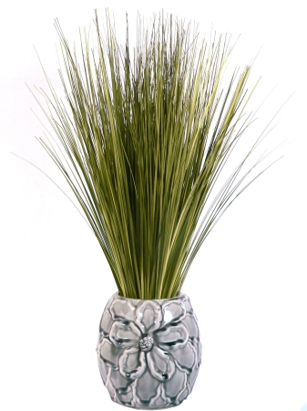Vintage Home VHA102186 Laura Ashley Onion Grass in Designer Ceramic Container