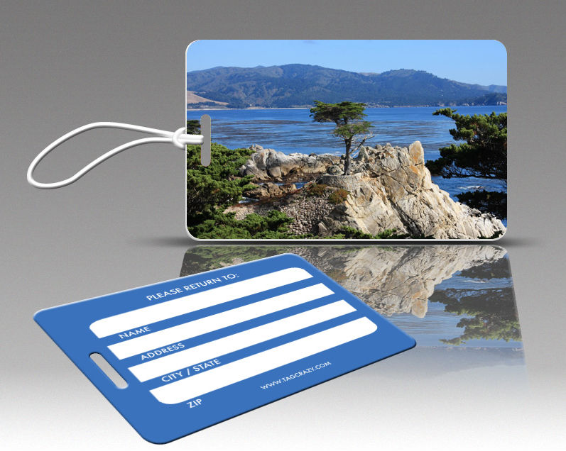 770828 Tagcrazy Luggage Tags- Lone Cypress At Monterey- Set Of Three