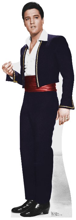 Advanced Graphics 841T Elvis Matador Talking Cardboard Standup