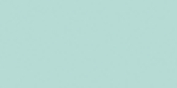 American amp; Efird 21000 AllPurpose Polyester Thread 164 Yards