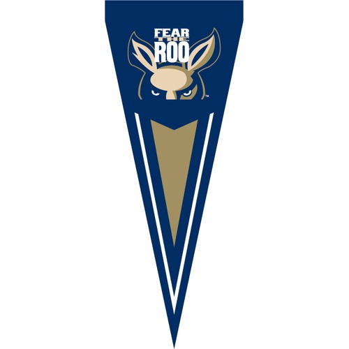 Party Animal PTAK Akron Zips Yard Pennant
