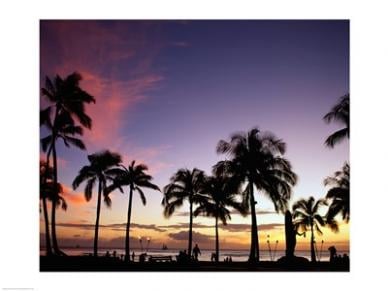 Silhouette Of Palm Trees On The Beach Waikiki Beach Honolulu Oahu Hawaii Usa -24 X 18- Poster Print