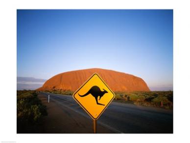 Kangaroo Sign On A Road With A Rock Formation In The Background Ayers Rock -24 X 18- Poster Print