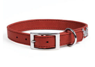 Rockinft Doggie 844587012434 .5 In. X 8 In. Leather Collar Plain - Red