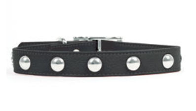 Rockinft Doggie 844587013851 .5 In. X 8 In. Leather Collar With Domed Rivets - Black