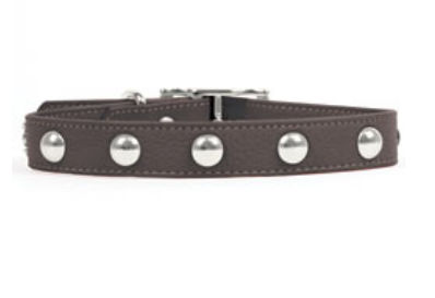 Rockinft Doggie 844587013981 .5 In. X 12 In. Leather Collar With Domed Rivets - Brown