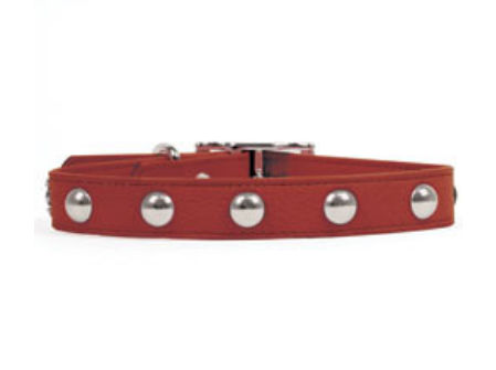 Rockinft Doggie 844587014186 .5 In. X 8 In. Leather Collar With Domed Rivets - Red