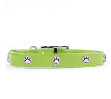 Rockinft Doggie 844587018801 .5 In. X 8 In. Leather Collar With Paw Rivets - Green