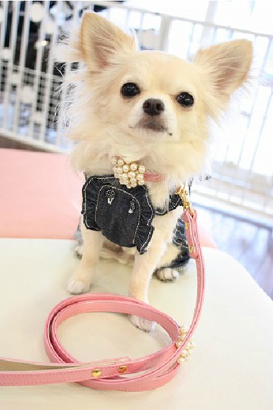 CET Domain SZ181013SMALL Variety of Powdered Pearls Pet Collars Leashes for Dogs