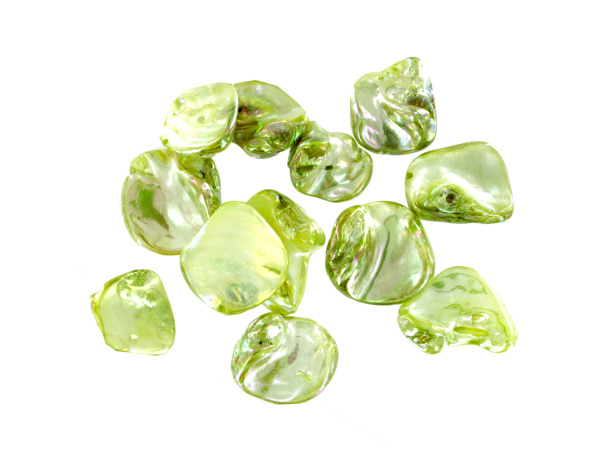 18MM Green Organic Fw Shell Beads  Pack of 48