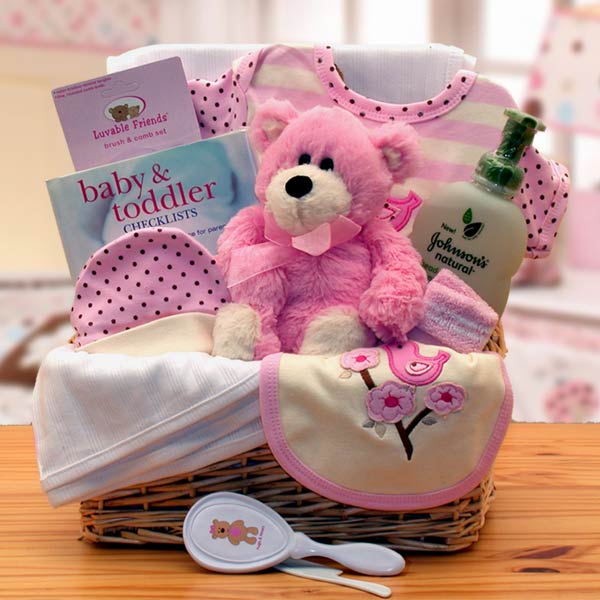 Gift basket 890532P Organic New Baby Basics Gift Baskets  Pink