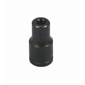 E16 Torx Socket
