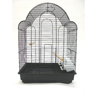 1704blk Shell Top Bird Cage In Black