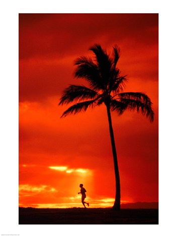Sal1121961 Silhouette Of A Man Running By A Palm Tree At Sunset Maui Hawaii Usa -18 X 24- Poster Print