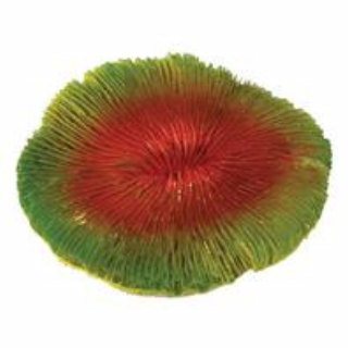 Pure Aquatic 029073 Design Elements Disc Coral Aquarium Ornament