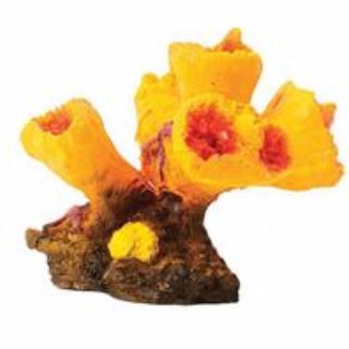 Pure Aquatic 029135 Design Elements Torch Coral Aquarium Ornament