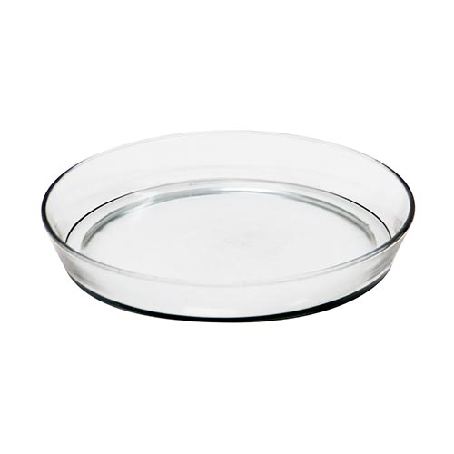 Achla Try-02 Large Glass Terrarium Tray