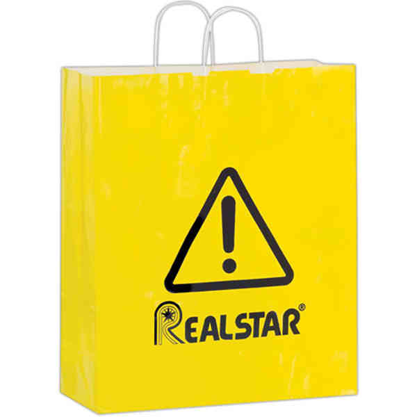 3g16619 16 In. X 19 In. Gloss Paper Shopping Bag - Pack Of 250