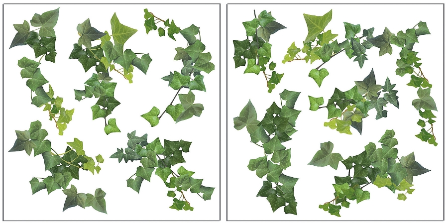 Cr-54152 Ivy Wall Stickers Pack Of 2