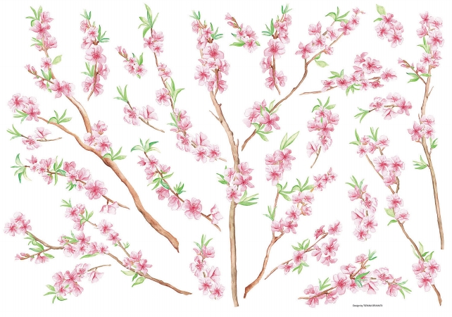 Peach Branch Wall Stickers