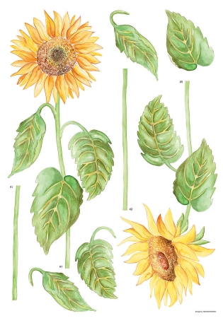 Crearreda CR57102 Sunflowers Wall Stickers