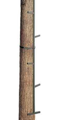 UPC 859972001047 product image for Big Dog Treestands BDSL-20 20Ft Dual Step | upcitemdb.com