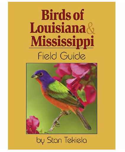 Ap32437 Birds Of Louisiana & Mississippi