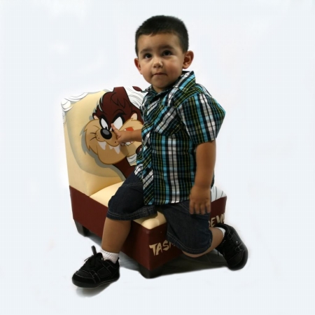 Warner Brothers 70715 Taz Armless Chair