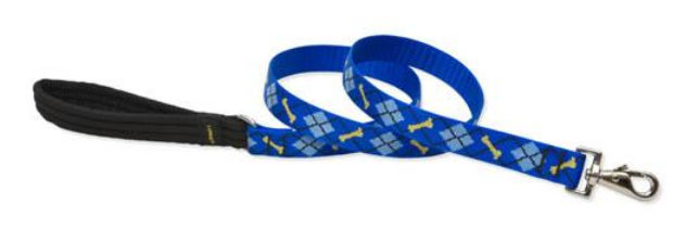 Lupine 41859 1 in. Dapper Dog 6 ft. Padded Handle Dog Leash