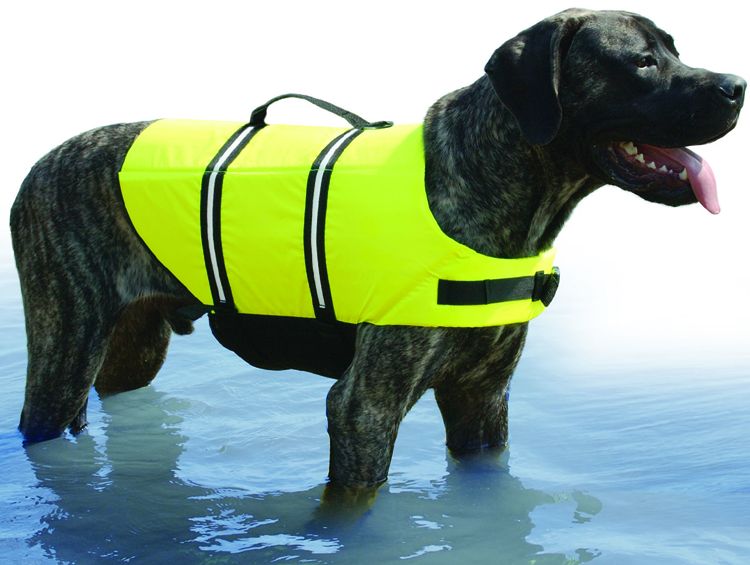 Picture for category Pet Vests
