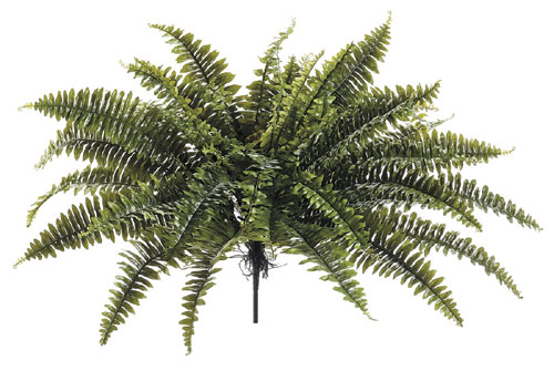 22 Inch Laguna Garden Fern Hanging Bush Green - Qty of 6