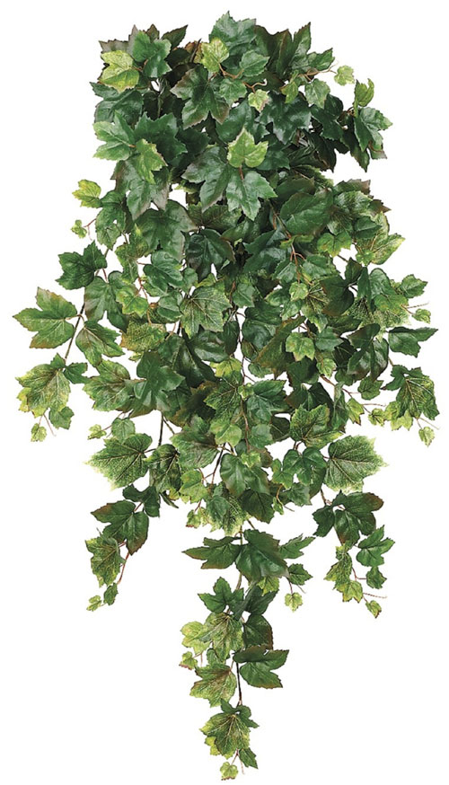 40 Inch Grape Ivy Hanging Bush x12 - Green - Qty of 4