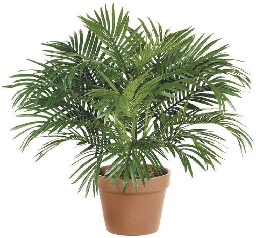 20 Inch Parlor Palm Bush Green - Qty of 6