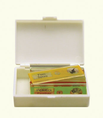 Ginsberg Scientific 71356 Prepared Microscope Slides  Plastic  Plants  Set Of 10