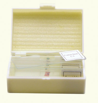 Ginsberg Scientific 7-1350 Prepared Microscope Slide - Glass - Animal - Set Of 10