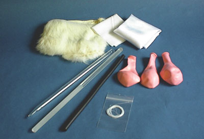 Ginsberg Scientific 7506 Electrostatic Kit