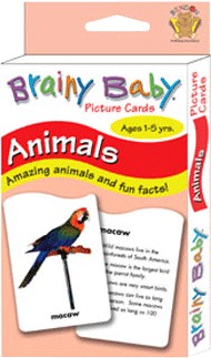 Brainy Baby 9900 Animals Learning Flash Cards