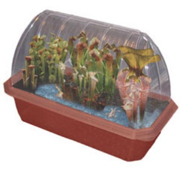 DuneCraft PP-0027 Pitcher Plant Predators Windowsill Greenhouse