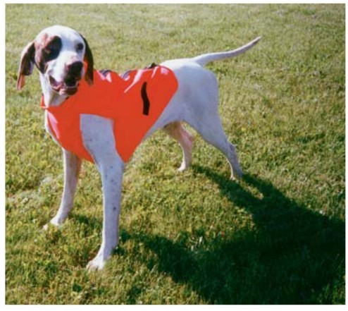 Hallmark 11752 HIVIZ Body Guard Dog Hunting Vest with Reflective Strips  Large