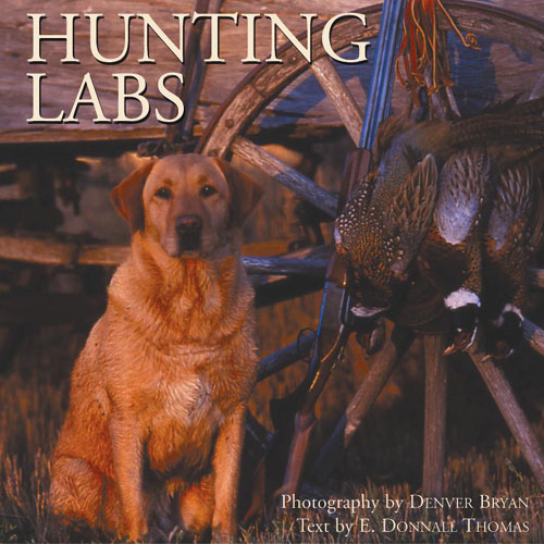 Hallmark 12140 Hunting Labs Book