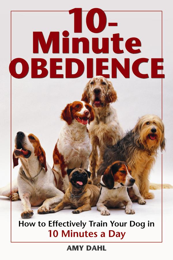 Hallmark 12170 10 Minute Obedience Book