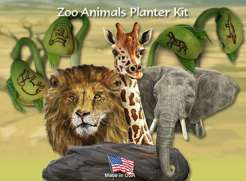 Magic Bean Wishes mbw02k Zoo Animal Planter Kit