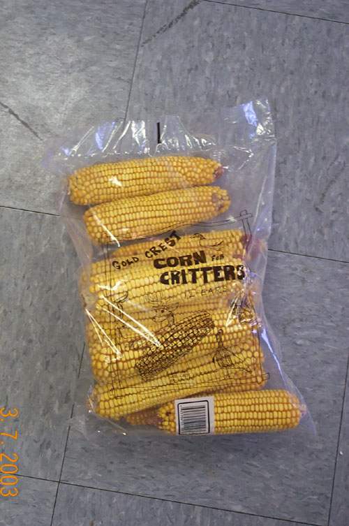 Seec101 Ear Corn - Bag Of 13