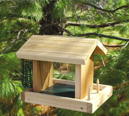 Seed Suet and Fruit Feeder