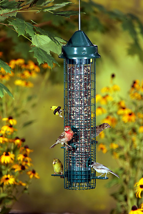 Brome Bird Care Squirrel Buster Classic Feeder