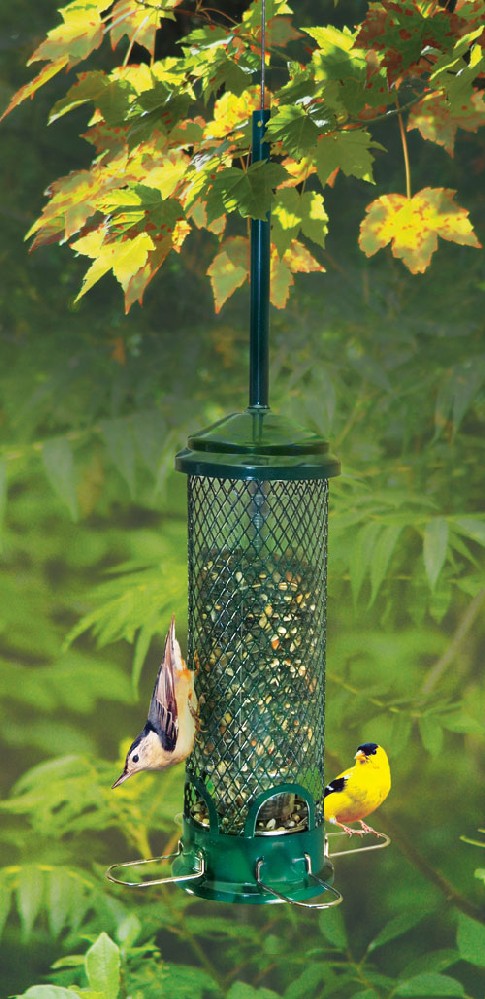 Brome Bird Care Squirrel Buster Mini Feeder