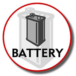 Gemini LR03PS12C AAA Batteries - 12 Pack