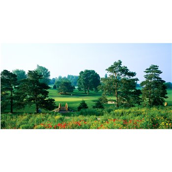 Biggies GMDMN54 Des Moines Golf Murals