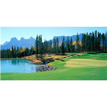 Biggies GMSTP80 Silver Tip Golf Murals