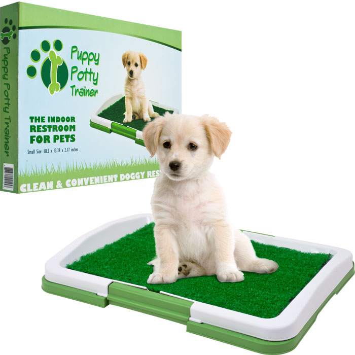 Pawt Puppy Potty Trainer - The Indoor Restroom For Pets